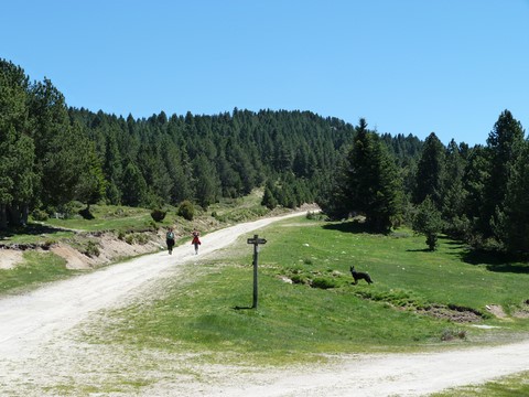 Le plateau de Beille en été